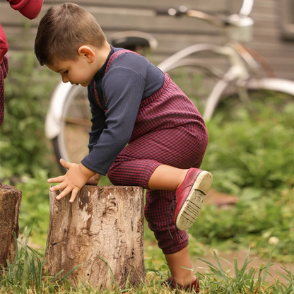Maroon Gingham Sibling Matching Outfits, Cotton Navy and Burgundy Sweatshirt Dresses, Tops, Jumpers and Baby Rompers for Boys and Girls