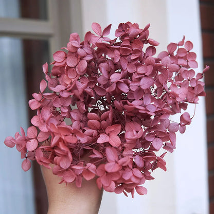 Preserved Hydrangea Flowers for DIY Crafts, Anna Floral Material in 5g, 10g or 20g Options for Resin Projects, Handmade Gifts and Home Decor
