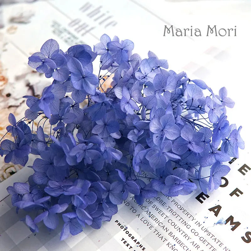 Preserved Hydrangea Flowers for DIY Crafts, Anna Floral Material in 5g, 10g or 20g Options for Resin Projects, Handmade Gifts and Home Decor