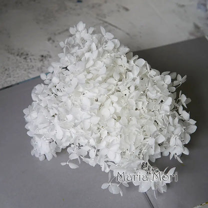 Preserved Hydrangea Flowers for DIY Crafts, Anna Floral Material in 5g, 10g or 20g Options for Resin Projects, Handmade Gifts and Home Decor