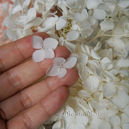 Preserved Hydrangea Flowers for DIY Crafts, Anna Floral Material in 5g, 10g or 20g Options for Resin Projects, Handmade Gifts and Home Decor
