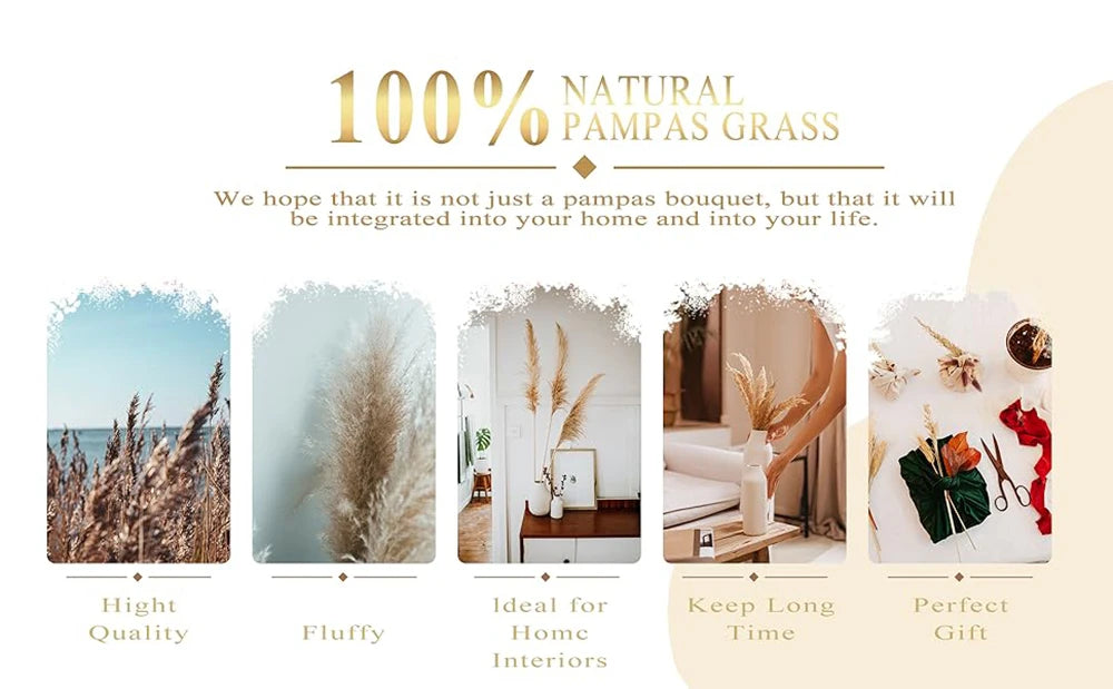 Dried Pampas Grass Bouquet, Natural Decorative Flowers and Bunny Tail Grass for Boho Vase Styling, Home Displays, Weddings and Party Decor