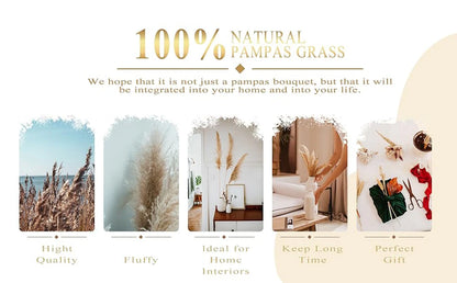 Dried Pampas Grass Bouquet, Natural Decorative Flowers and Bunny Tail Grass for Boho Vase Styling, Home Displays, Weddings and Party Decor