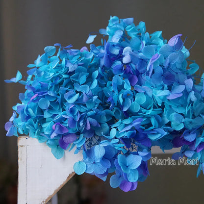 Preserved Hydrangea Flowers for DIY Crafts, Anna Floral Material in 5g, 10g or 20g Options for Resin Projects, Handmade Gifts and Home Decor
