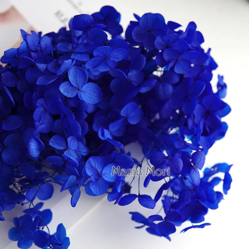 Preserved Hydrangea Flowers for DIY Crafts, Anna Floral Material in 5g, 10g or 20g Options for Resin Projects, Handmade Gifts and Home Decor