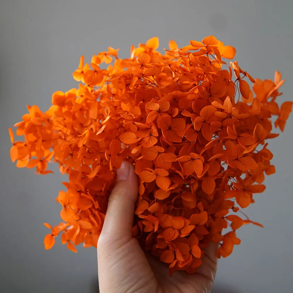 Preserved Hydrangea Flowers for DIY Crafts, Anna Floral Material in 5g, 10g or 20g Options for Resin Projects, Handmade Gifts and Home Decor