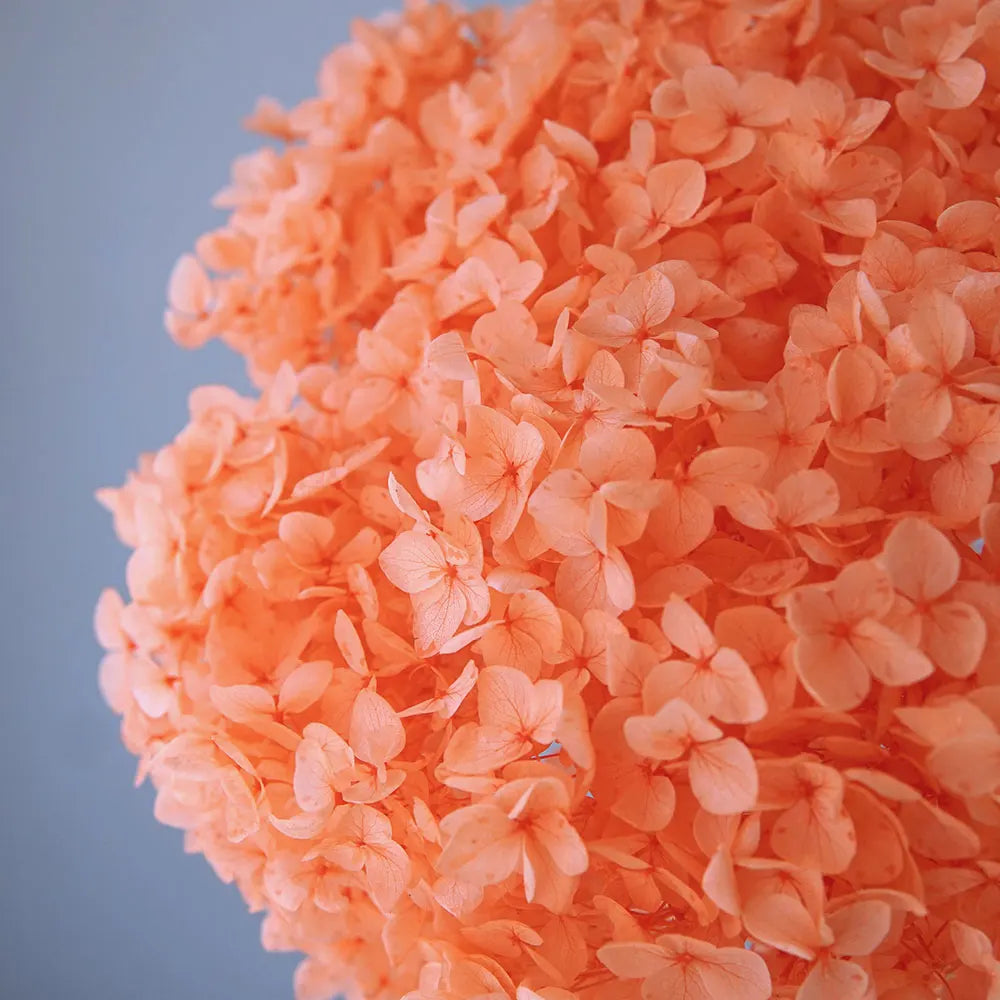 Preserved Hydrangea Flowers for DIY Crafts, Anna Floral Material in 5g, 10g or 20g Options for Resin Projects, Handmade Gifts and Home Decor