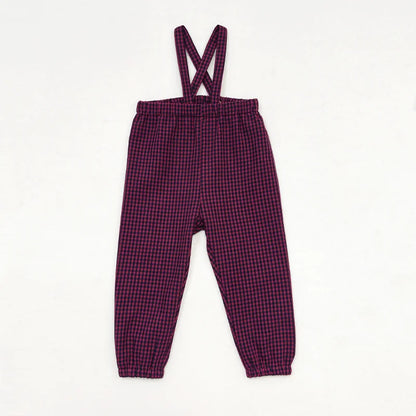 Maroon Gingham Sibling Matching Outfits, Cotton Navy and Burgundy Sweatshirt Dresses, Tops, Jumpers and Baby Rompers for Boys and Girls
