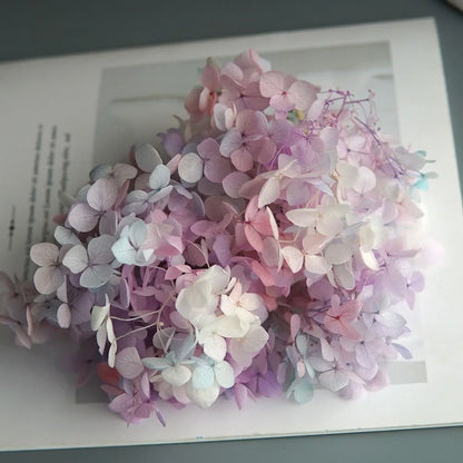 Preserved Hydrangea Flowers for DIY Crafts, Anna Floral Material in 5g, 10g or 20g Options for Resin Projects, Handmade Gifts and Home Decor