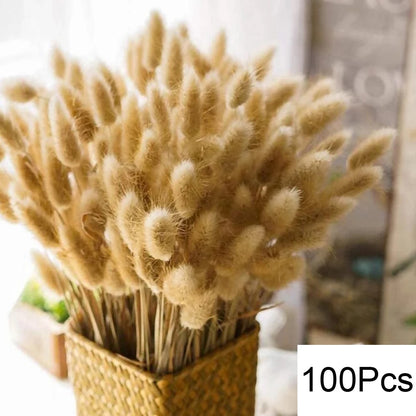 Dried Pampas Grass Bouquet, Natural Decorative Flowers and Bunny Tail Grass for Boho Vase Styling, Home Displays, Weddings and Party Decor
