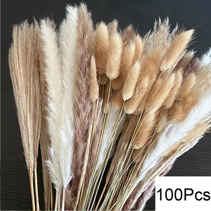 Dried Pampas Grass Bouquet, Natural Decorative Flowers and Bunny Tail Grass for Boho Vase Styling, Home Displays, Weddings and Party Decor