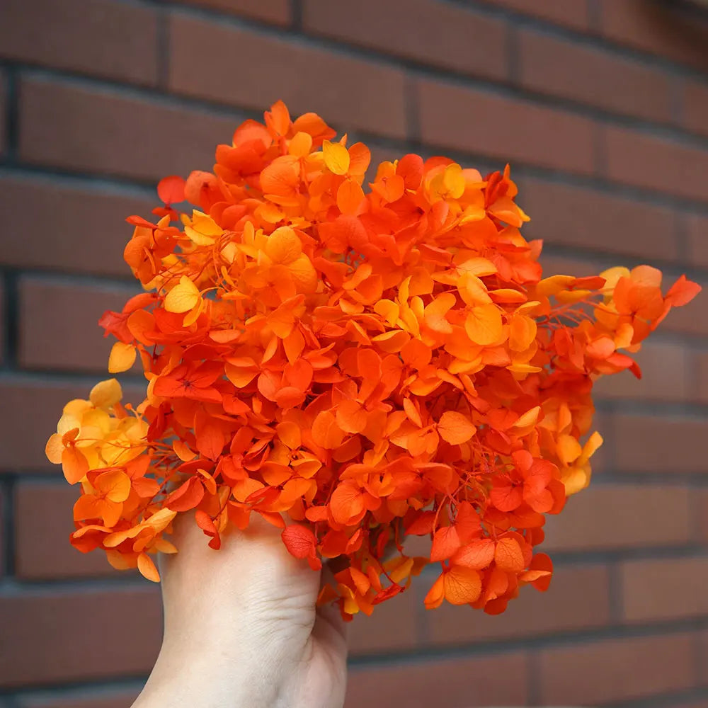 Preserved Hydrangea Flowers for DIY Crafts, Anna Floral Material in 5g, 10g or 20g Options for Resin Projects, Handmade Gifts and Home Decor