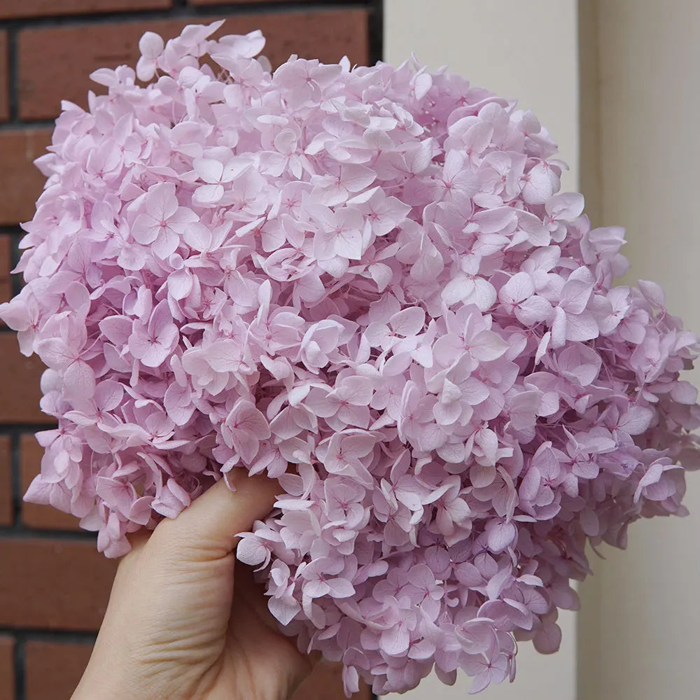 Preserved Hydrangea Flowers for DIY Crafts, Anna Floral Material in 5g, 10g or 20g Options for Resin Projects, Handmade Gifts and Home Decor