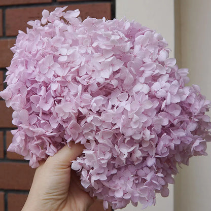Preserved Hydrangea Flowers for DIY Crafts, Anna Floral Material in 5g, 10g or 20g Options for Resin Projects, Handmade Gifts and Home Decor