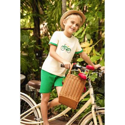 Bicycle Print Sibling Matching Outfits, Cream Girls Dresses and Tops with Red Skirts, Boys Green Shorts and Baby Rompers for Family Photos