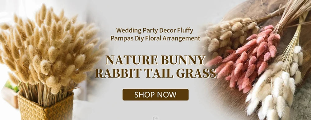 Dried Pampas Grass Bouquet, Natural Decorative Flowers and Bunny Tail Grass for Boho Vase Styling, Home Displays, Weddings and Party Decor