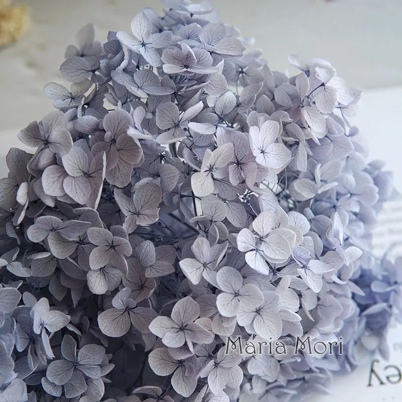 Preserved Hydrangea Flowers for DIY Crafts, Anna Floral Material in 5g, 10g or 20g Options for Resin Projects, Handmade Gifts and Home Decor