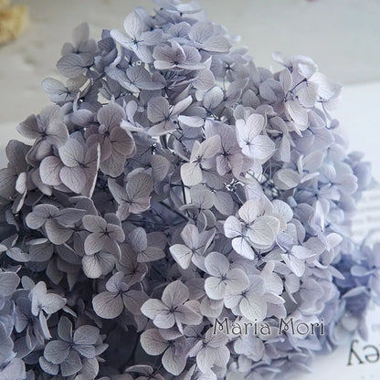 Preserved Hydrangea Flowers for DIY Crafts, Anna Floral Material in 5g, 10g or 20g Options for Resin Projects, Handmade Gifts and Home Decor