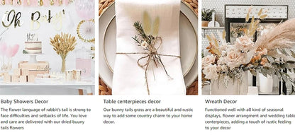 Dried Pampas Grass Bouquet, Natural Decorative Flowers and Bunny Tail Grass for Boho Vase Styling, Home Displays, Weddings and Party Decor