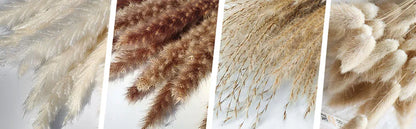 Dried Pampas Grass Bouquet, Natural Decorative Flowers and Bunny Tail Grass for Boho Vase Styling, Home Displays, Weddings and Party Decor