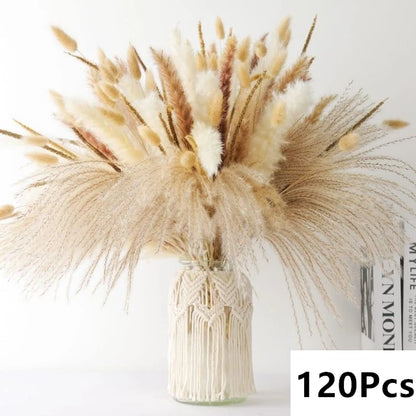 Dried Pampas Grass Bouquet, Natural Decorative Flowers and Bunny Tail Grass for Boho Vase Styling, Home Displays, Weddings and Party Decor