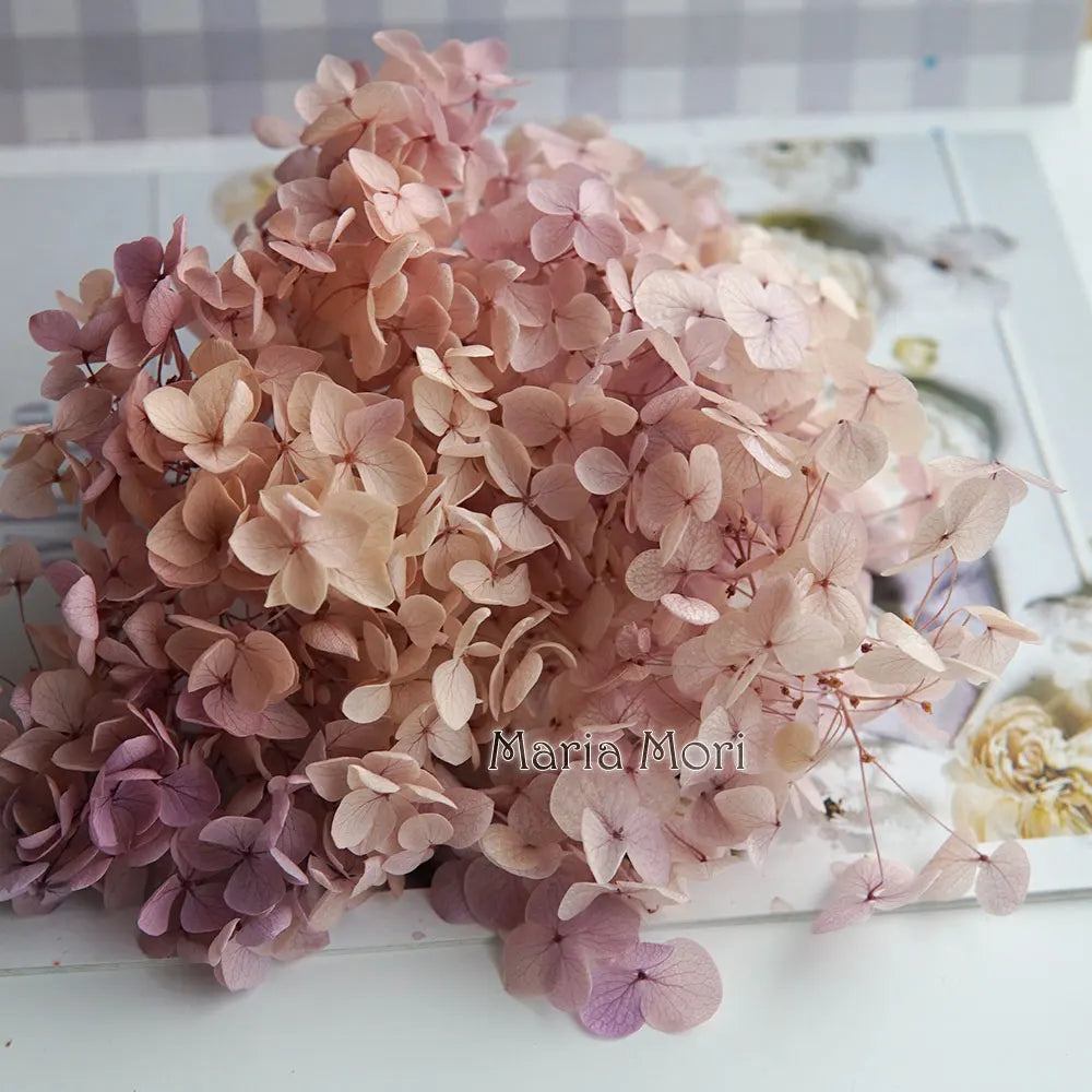 Preserved Hydrangea Flowers for DIY Crafts, Anna Floral Material in 5g, 10g or 20g Options for Resin Projects, Handmade Gifts and Home Decor