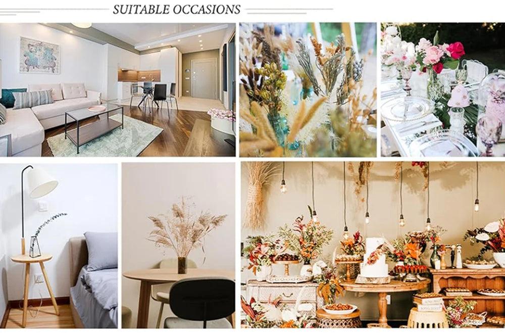 Dried Pampas Grass Bouquet, Natural Decorative Flowers and Bunny Tail Grass for Boho Vase Styling, Home Displays, Weddings and Party Decor