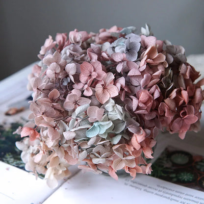 Preserved Hydrangea Flowers for DIY Crafts, Anna Floral Material in 5g, 10g or 20g Options for Resin Projects, Handmade Gifts and Home Decor