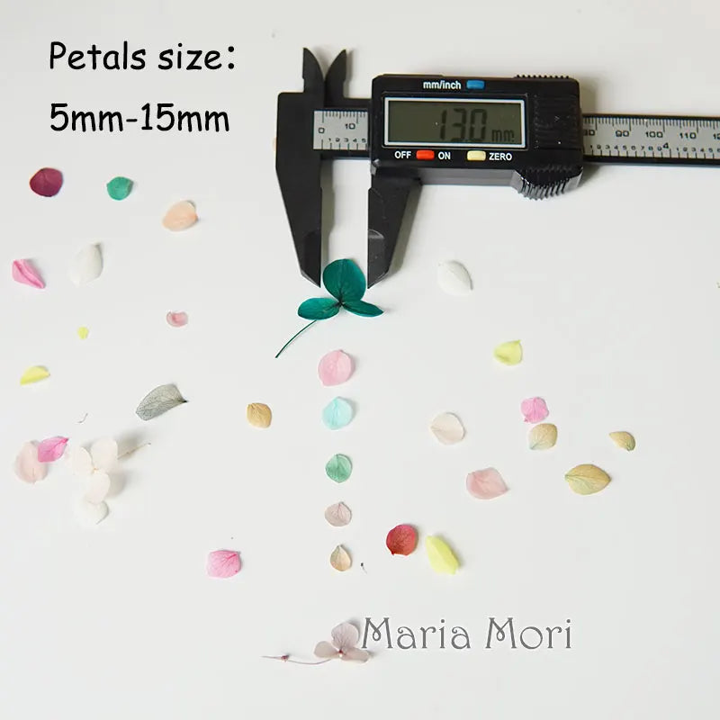 Preserved Hydrangea Flowers for DIY Crafts, Anna Floral Material in 5g, 10g or 20g Options for Resin Projects, Handmade Gifts and Home Decor