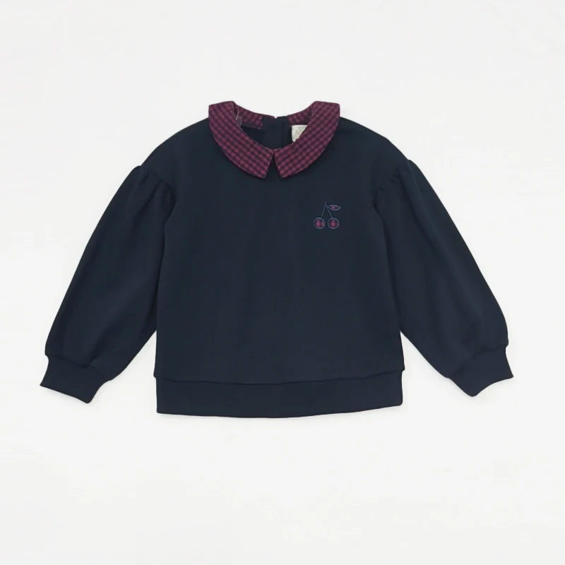 Maroon Gingham Sibling Matching Outfits, Cotton Navy and Burgundy Sweatshirt Dresses, Tops, Jumpers and Baby Rompers for Boys and Girls