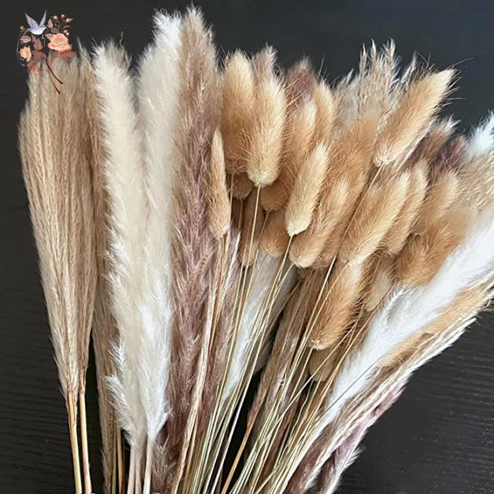 Dried Pampas Grass Bouquet, Natural Decorative Flowers and Bunny Tail Grass for Boho Vase Styling, Home Displays, Weddings and Party Decor