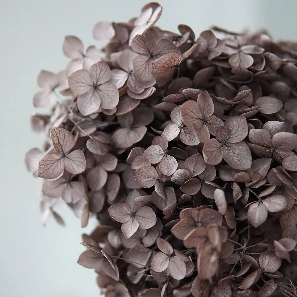 Preserved Hydrangea Flowers for DIY Crafts, Anna Floral Material in 5g, 10g or 20g Options for Resin Projects, Handmade Gifts and Home Decor