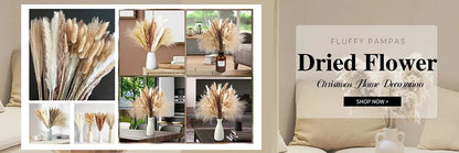 Dried Pampas Grass Bouquet, Natural Decorative Flowers and Bunny Tail Grass for Boho Vase Styling, Home Displays, Weddings and Party Decor