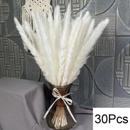 Dried Pampas Grass Bouquet, Natural Decorative Flowers and Bunny Tail Grass for Boho Vase Styling, Home Displays, Weddings and Party Decor